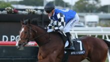 Jockey in blue-and-white checkered silks rides a galloping brown horse during a race, with a black helmet and sunglasses.