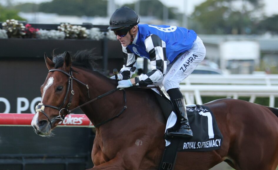 Jockey in blue-and-white checkered silks rides a galloping brown horse during a race, with a black helmet and sunglasses.