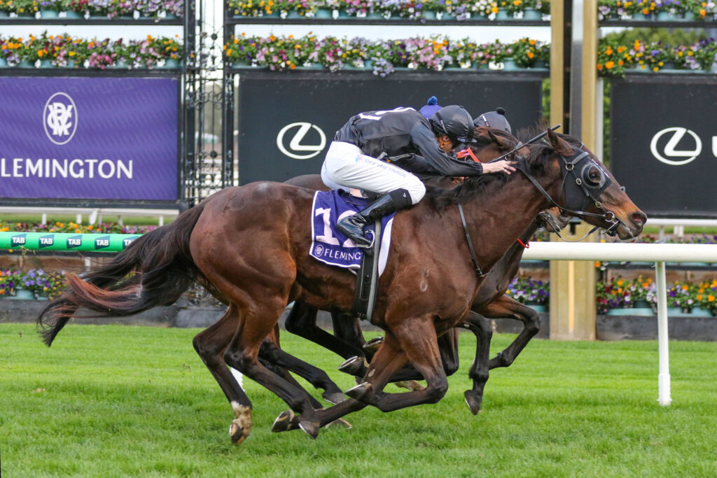 Two jockeys on sprinting racehorses, leaning forward as they race on a green turf with sponsor banners behind.