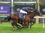 Two jockeys on sprinting racehorses, leaning forward as they race on a green turf with sponsor banners behind.