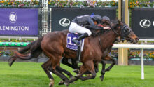 Two jockeys on sprinting racehorses, leaning forward as they race on a green turf with sponsor banners behind.