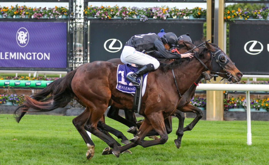Two jockeys on sprinting racehorses, leaning forward as they race on a green turf with sponsor banners behind.