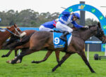 Horse race in progress with multiple galloping horses and jockeys in blue silks near a hurdles fence on a grassy track.