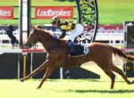 Jockey in yellow‑black checkered silks riding a galloping brown horse during a race, with Ladbrokes banners in the background.