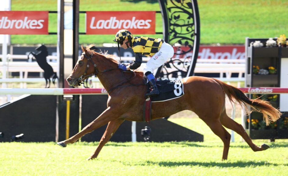 Jockey in yellow‑black checkered silks riding a galloping brown horse during a race, with Ladbrokes banners in the background.
