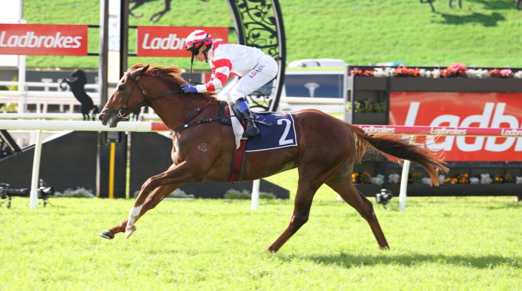 Jockey in red-and-white silks rides a galloping brown horse on a green racecourse with red sponsor banners in the background, number 2 saddlecloth visible.