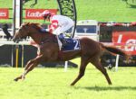 Jockey in red-and-white silks rides a galloping brown horse on a green racecourse with red sponsor banners in the background, number 2 saddlecloth visible.