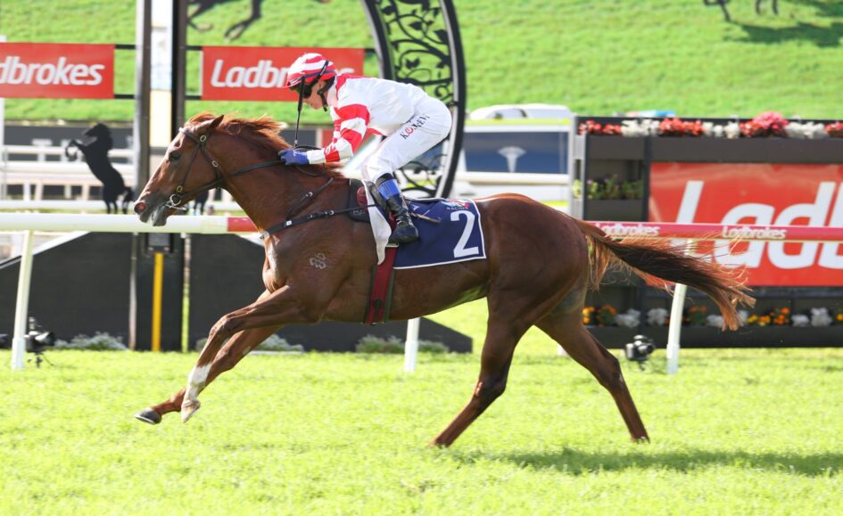 Jockey in red-and-white silks rides a galloping brown horse on a green racecourse with red sponsor banners in the background, number 2 saddlecloth visible.
