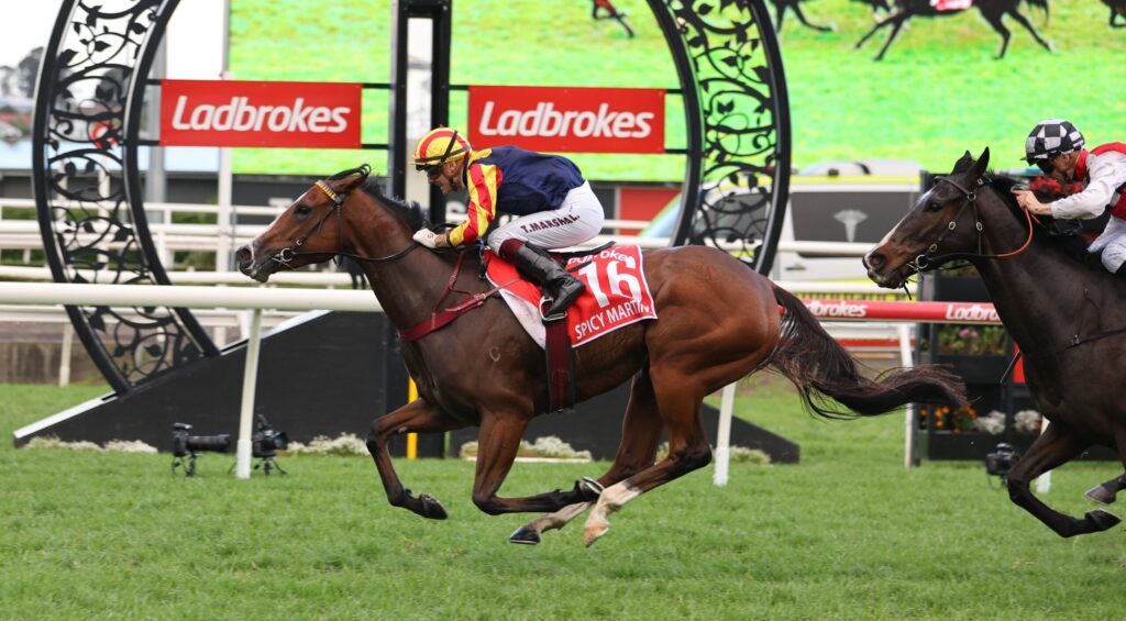 Jockey riding a bay horse at full gallop in a race, with red number 16 saddlecloth and 'SPICY MARTINI' text visible, Ladbrokes banners in the background.