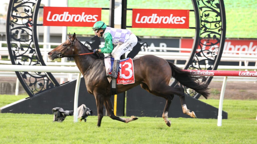 Horse racing scene: jockey in green and purple silks riding a dark brown horse over a hurdle at a Ladbrokes-sponsored track