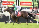 Horse racing scene: jockey in green and purple silks riding a dark brown horse over a hurdle at a Ladbrokes-sponsored track
