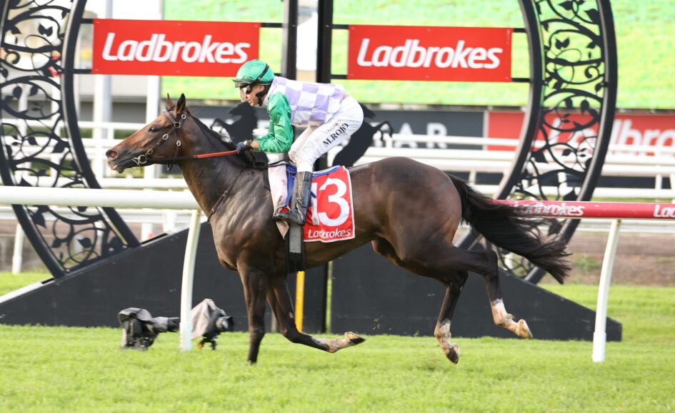 Horse racing scene: jockey in green and purple silks riding a dark brown horse over a hurdle at a Ladbrokes-sponsored track