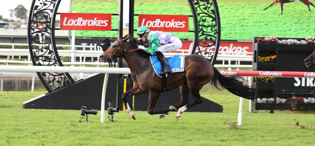Horse and jockey mid-jump over a hurdle on a green racecourse; rider wears green helmet and purple-white checkered silks, blue saddle pad marked with 1, Ladbrokes banners in the background.