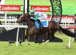 Horse and jockey mid-jump over a hurdle on a green racecourse; rider wears green helmet and purple-white checkered silks, blue saddle pad marked with 1, Ladbrokes banners in the background.