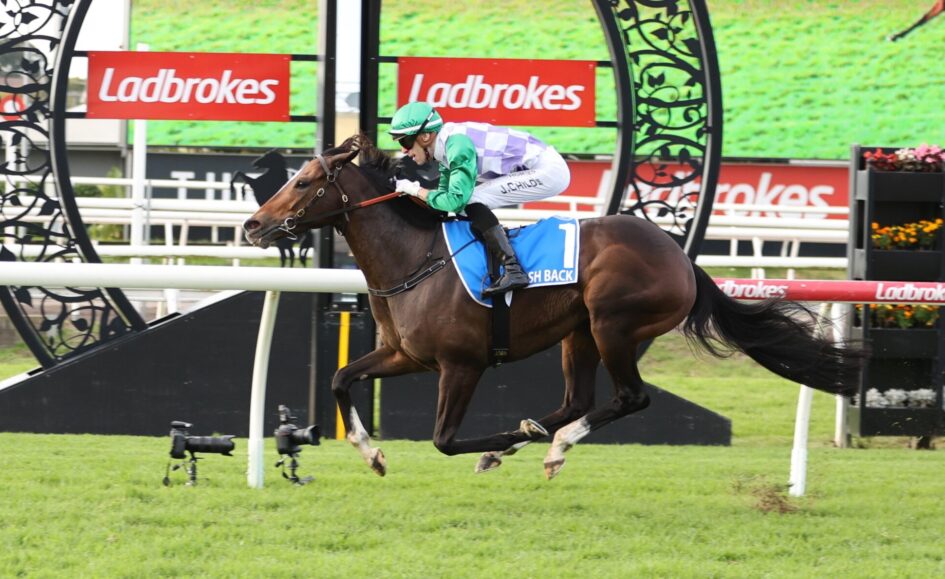 Horse and jockey mid-jump over a hurdle on a green racecourse; rider wears green helmet and purple-white checkered silks, blue saddle pad marked with 1, Ladbrokes banners in the background.