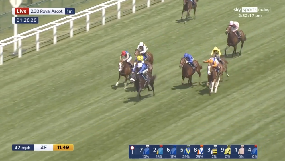 Live Royal Ascot turf race: group of jockeys in colorful silks ride horses along a straight green course by the rails.