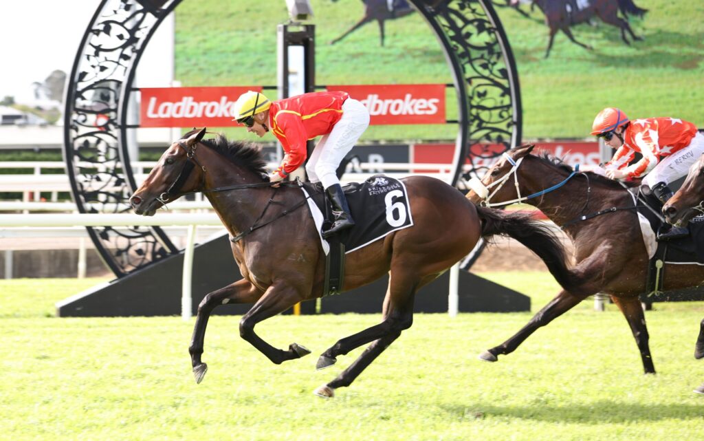 Jockey in red silks and yellow helmet rides a dark horse over a hurdle, with another rider in red nearby on a grassy track.