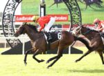 Jockey in red silks and yellow helmet rides a dark horse over a hurdle, with another rider in red nearby on a grassy track.