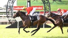 Jockey in red silks and yellow helmet rides a dark horse over a hurdle, with another rider in red nearby on a grassy track.