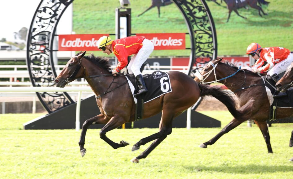 Jockey in red silks and yellow helmet rides a dark horse over a hurdle, with another rider in red nearby on a grassy track.