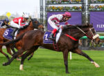 Jockey in maroon striped silks rides a dark brown horse at full gallop on a grassy racetrack, with competitors close behind.