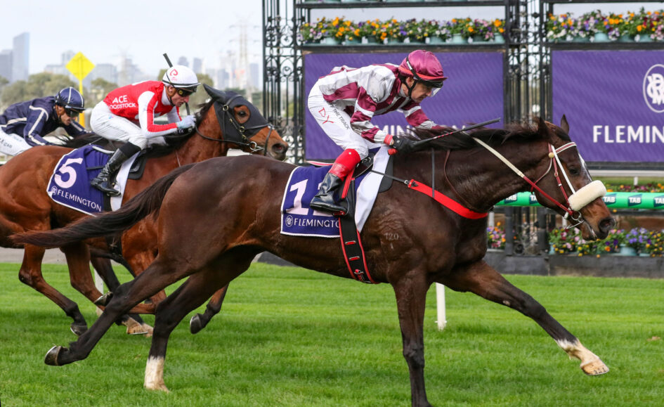 Jockey in maroon striped silks rides a dark brown horse at full gallop on a grassy racetrack, with competitors close behind.