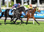 Jockeys and horses racing on a track, mid-stride with colorful silks and green grass nearby