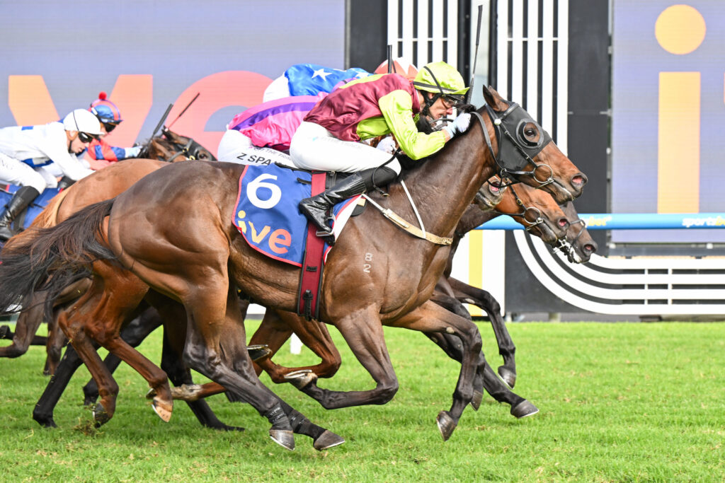 Jockeys racing on horses, close-up mid-flight during a flat race on green grass, colorful silks blurred in background