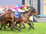 Jockeys racing on horses, close-up mid-flight during a flat race on green grass, colorful silks blurred in background