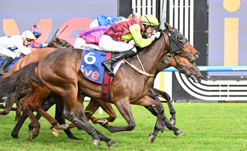 Jockeys racing on horses, close-up mid-flight during a flat race on green grass, colorful silks blurred in background