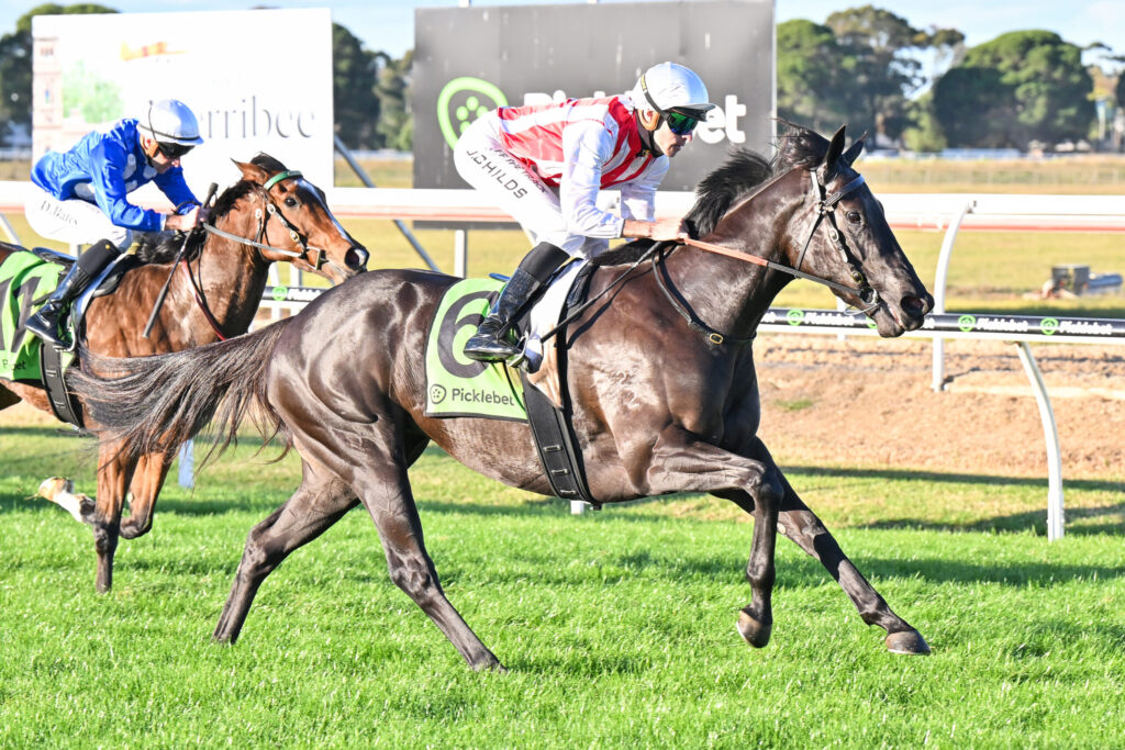 Two jockeys race side by side on galloping horses, wearing blue and red-and-white silks, with green saddlecloths on a sunny turf track.