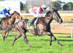 Two jockeys race side by side on galloping horses, wearing blue and red-and-white silks, with green saddlecloths on a sunny turf track.