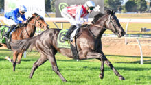 Two jockeys race side by side on galloping horses, wearing blue and red-and-white silks, with green saddlecloths on a sunny turf track.