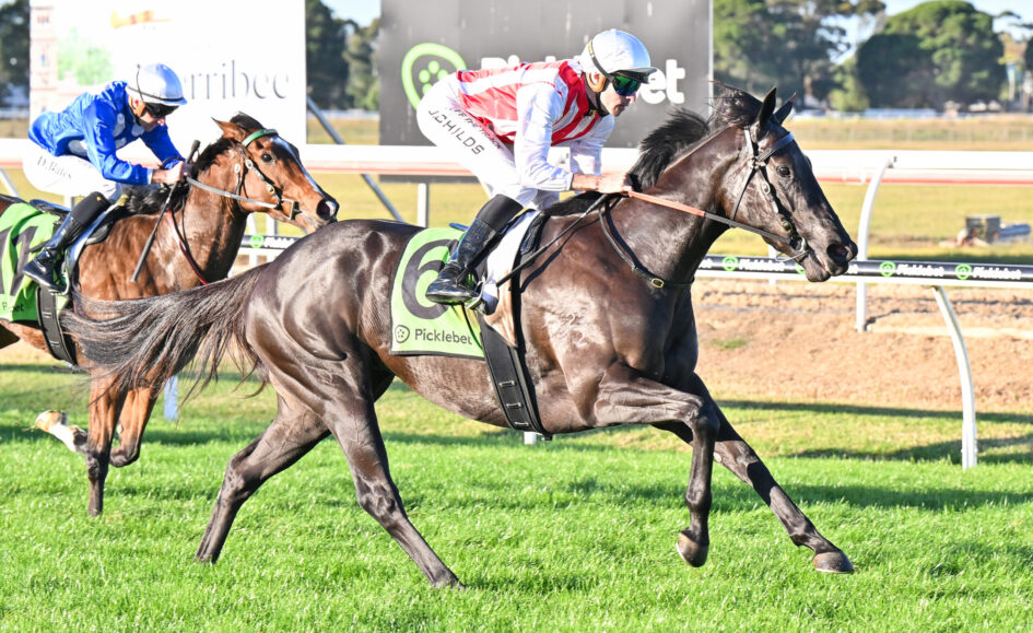 Two jockeys race side by side on galloping horses, wearing blue and red-and-white silks, with green saddlecloths on a sunny turf track.