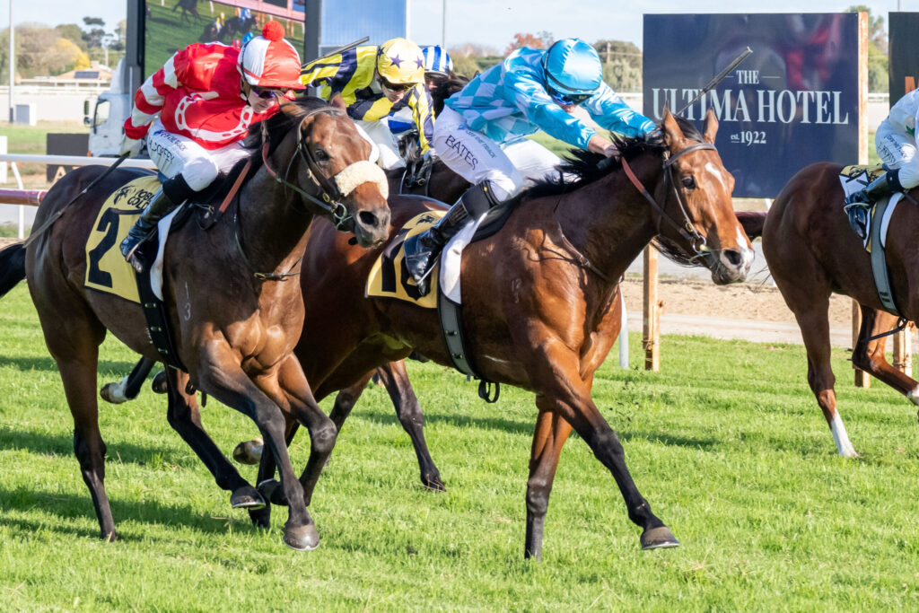 Group of jockeys in bright silks racing side by side on a grassy track; foreground horses galloping, with a sponsor sign in the background saying 'The Ultima Hotel'