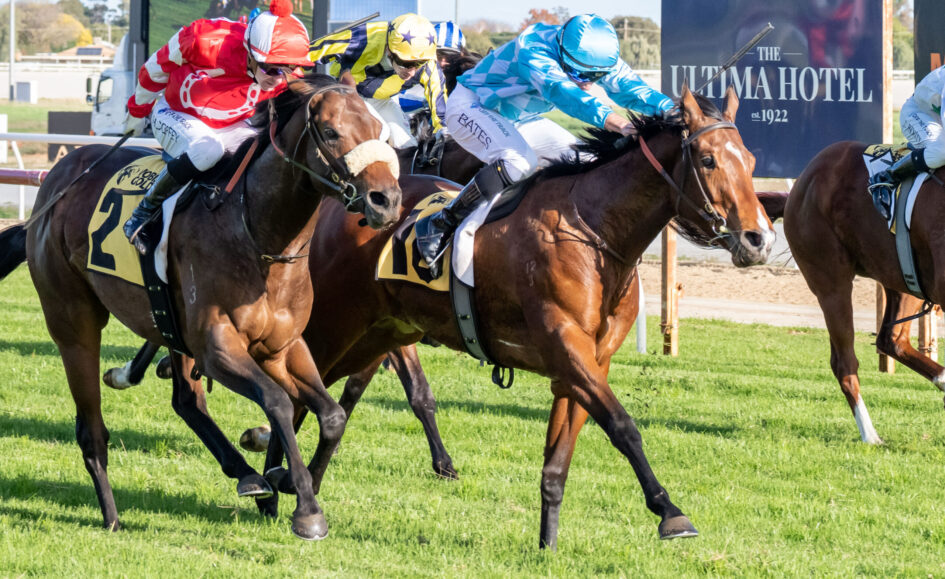 Group of jockeys in bright silks racing side by side on a grassy track; foreground horses galloping, with a sponsor sign in the background saying 'The Ultima Hotel'