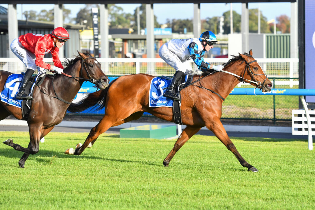 Two jockeys sprint on horseback during a race, one in red silks and the other in blue and white, on a grass track.