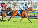 Two jockeys sprint on horseback during a race, one in red silks and the other in blue and white, on a grass track.