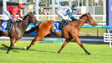 Two jockeys sprint on horseback during a race, one in red silks and the other in blue and white, on a grass track.