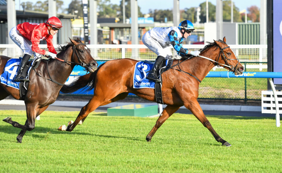 Two jockeys sprint on horseback during a race, one in red silks and the other in blue and white, on a grass track.