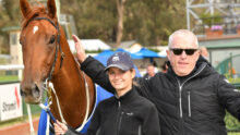 Young woman and an older man pose with a brown horse wearing a blue blanket at an outdoor event.