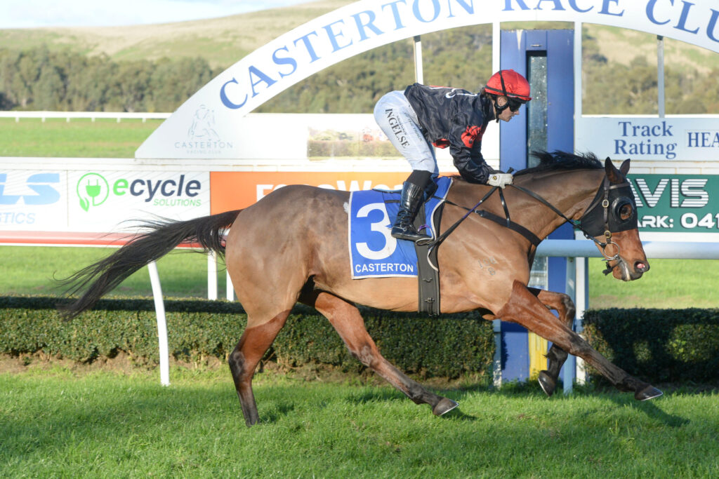 Jockey in a red helmet and black silks rides a horse over a hurdle at a racetrack, with advertising banners in the background.