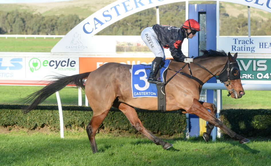 Jockey in a red helmet and black silks rides a horse over a hurdle at a racetrack, with advertising banners in the background.