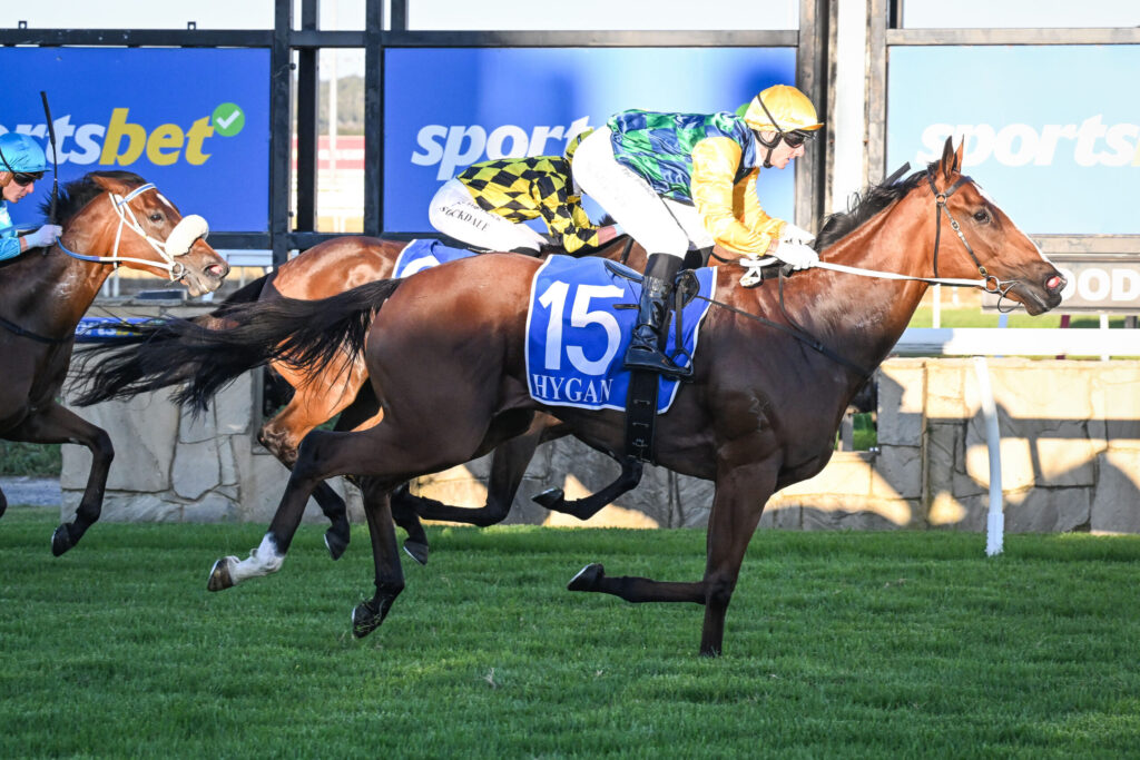 Jockey in yellow silks and helmet rides a dark brown horse with blue number 15 saddle cloth during a race.
