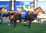 Jockey in yellow silks and helmet rides a dark brown horse with blue number 15 saddle cloth during a race.