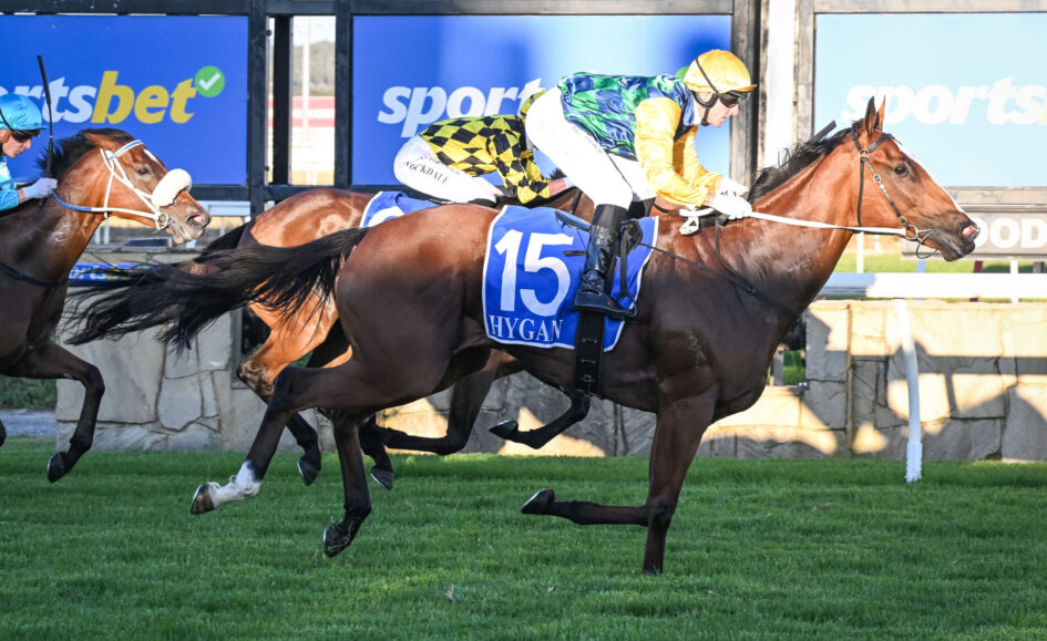 Jockey in yellow silks and helmet rides a dark brown horse with blue number 15 saddle cloth during a race.
