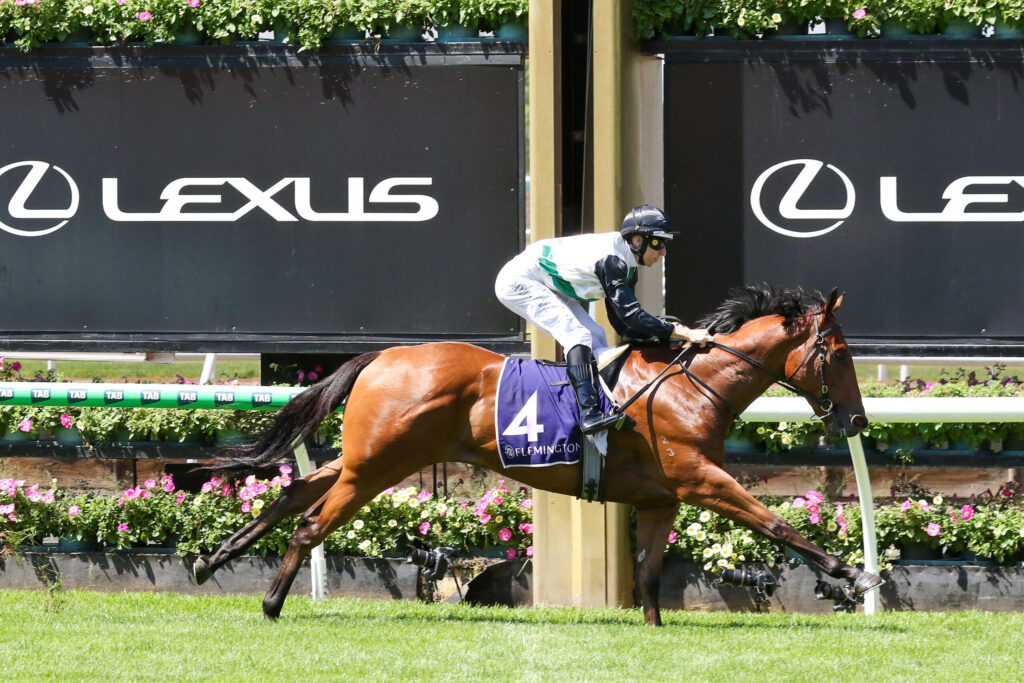 Jockey in white and green silks rides a brown horse over a hurdle at a Lexus-sponsored race, with number 4 bib visible and spectators/branding in the background.
