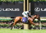 Jockey in white and green silks rides a brown horse over a hurdle at a Lexus-sponsored race, with number 4 bib visible and spectators/branding in the background.