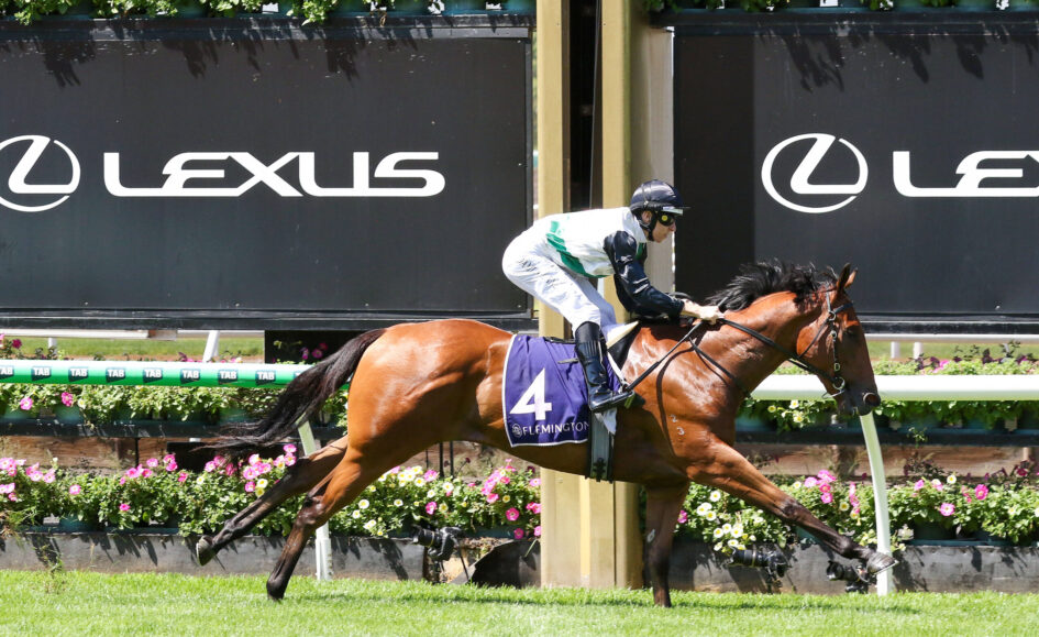 Jockey in white and green silks rides a brown horse over a hurdle at a Lexus-sponsored racecourse, number 4 saddlecloth.