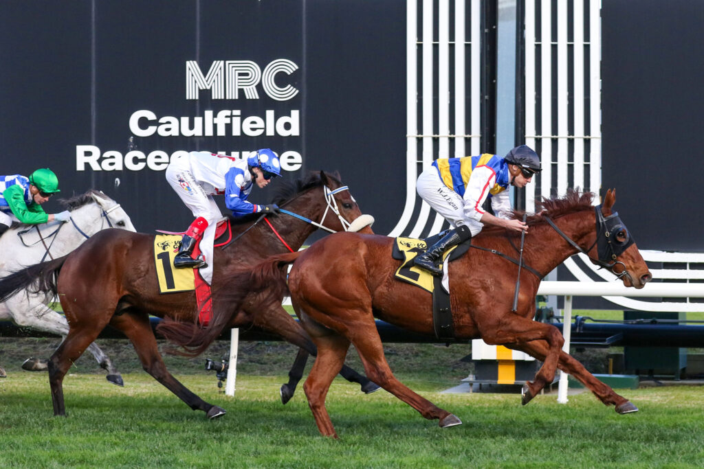 Jockeys on racing horses sprint along the turf at Caulfield Racecourse, with a dark branding wall in the background.